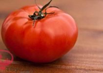 تفسير الطماطم المطبوخة في المنام العصيمي وابن سيرين