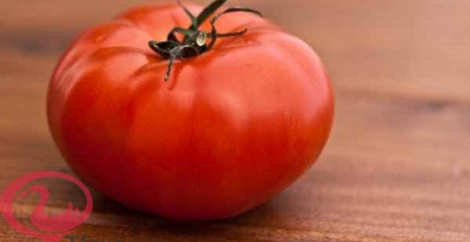 تفسير الطماطم المطبوخة في المنام العصيمي وابن سيرين